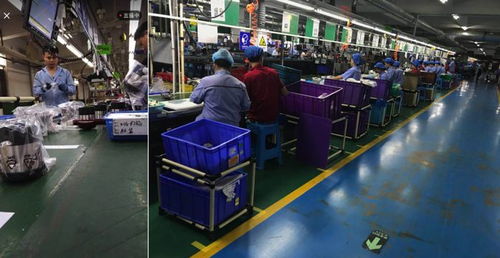 拼多多的新野心 家用電器