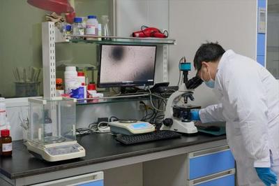 以生物造萬(wàn)物 合成生物產(chǎn)業(yè)化提速，開(kāi)啟生物技術(shù)研發(fā)新紀(jì)元